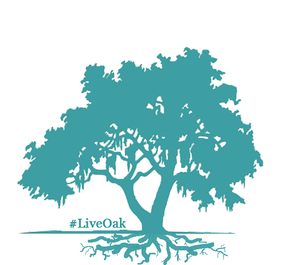 Active Full Lifecycle Investing - Live Oak Tree Silhouette (576x575), Png Download