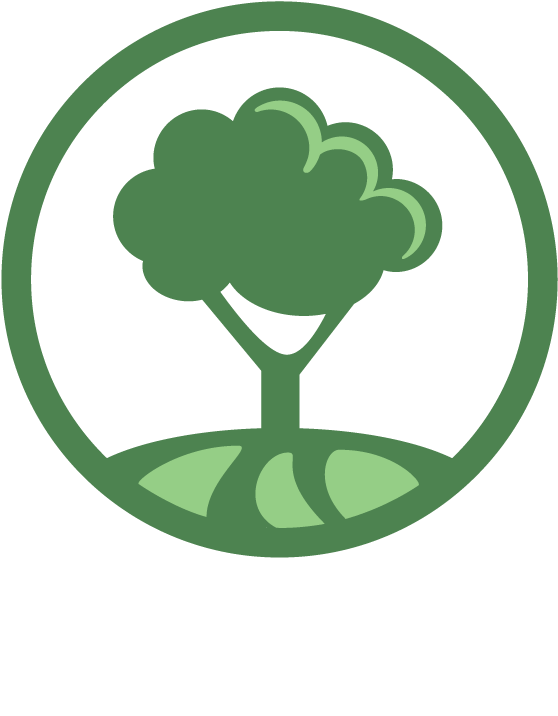 Oak Icon Png (600x750), Png Download