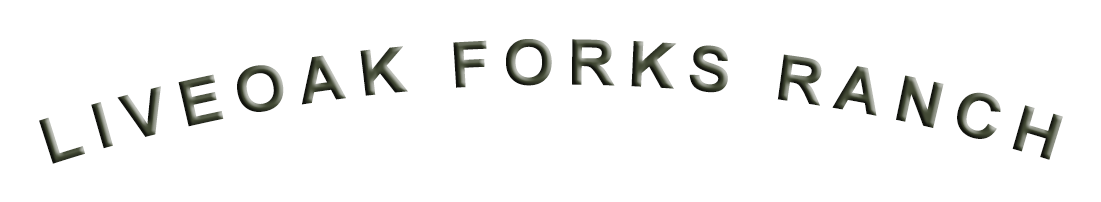 Paper (1150x525), Png Download