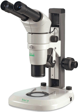 Home - Stereo Microscopes (507x519), Png Download