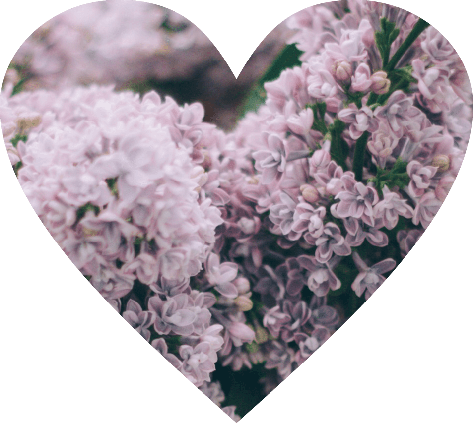 Arancione Orange Heart Overlay Png Edit Tumblr - Alyssum (953x853), Png Download