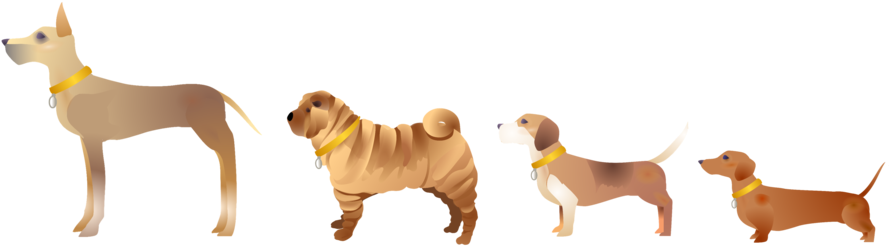 The Images Are Based On Real Dogs In The Charity's - Dog (980x395), Png Download