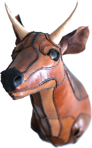 Deer Head, Full-size - Deer (312x500), Png Download