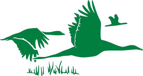 Green Geese Svg Clip Arts 600 X 321 Px (600x321), Png Download