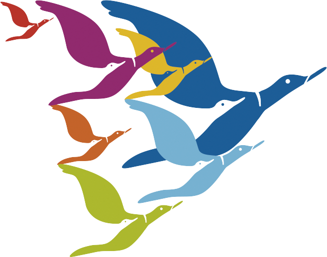 Geese - Illustration (657x517), Png Download