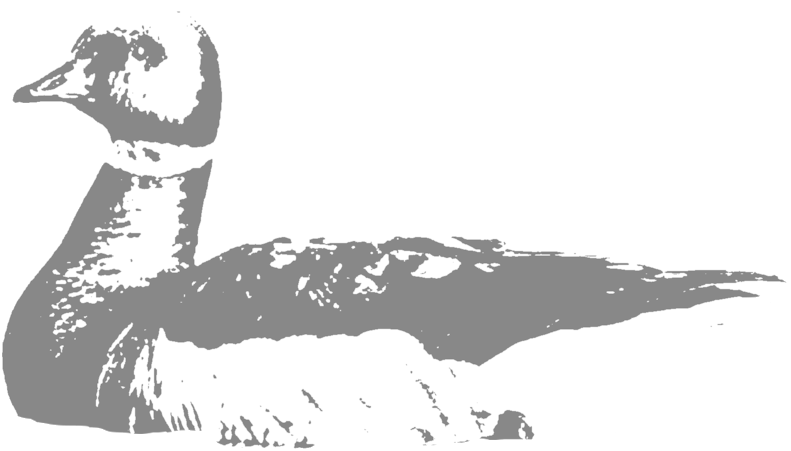 Brant - Cold Bay (1000x1000), Png Download