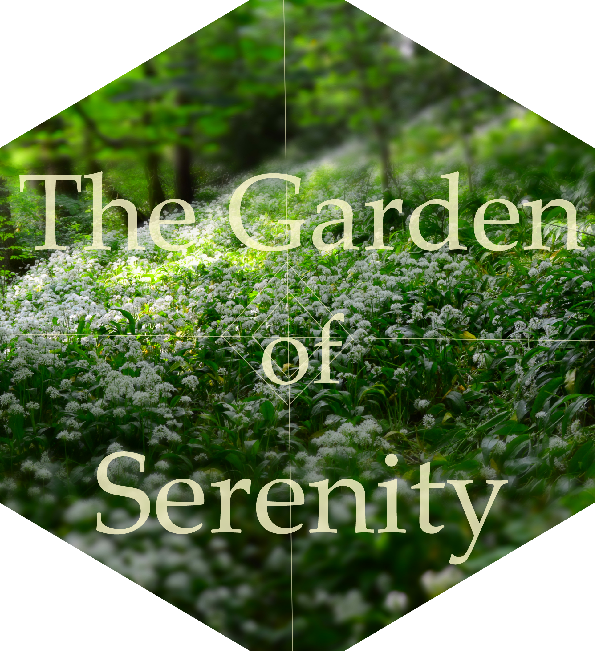 Turtle And Moose (1938x2114), Png Download