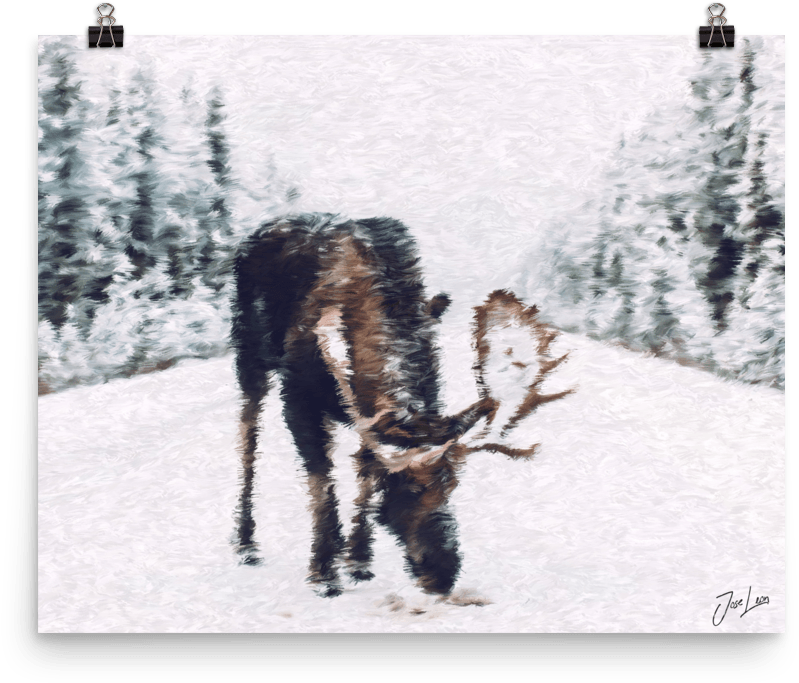 Moose Print - Moose (1000x1000), Png Download