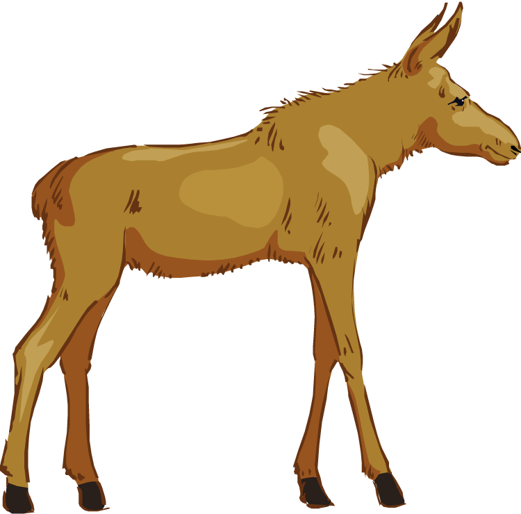 Free - Clip Art (750x740), Png Download