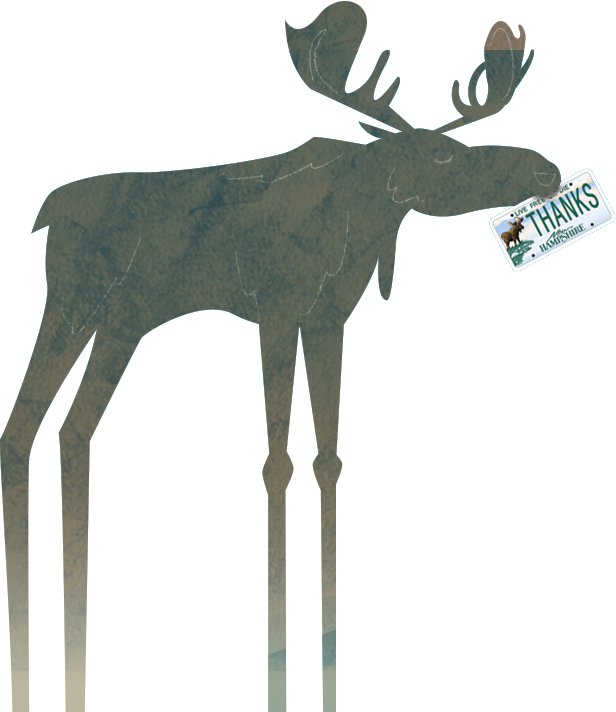 Where Is Your Moose Plate - Nh Moose Plate Grant (616x712), Png Download