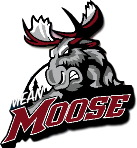 Alamosa Mean Moose - Manitoba Moose Logo (500x500), Png Download