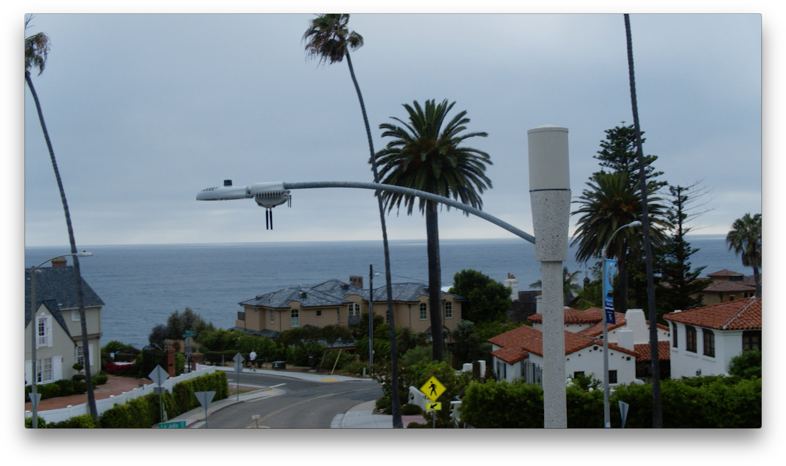 Solutions Abound For Cameras, Including Obvious Law - Attalea Speciosa (1552x922), Png Download