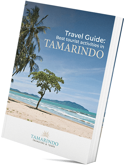 Principales Actividades Turísticas En Tamarindo - Choose Costa Rica For Retirement (410x546), Png Download
