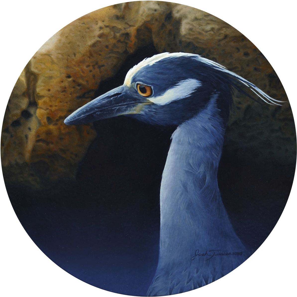 Regal Blues - Great Blue Heron (1250x1240), Png Download