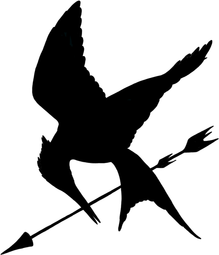 The Hunger Games Png Free The Hunger Games Png Transparent Images 401 Pngio