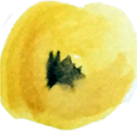 The Jewish Feast Of Purim Took Place This Year From - Tree (480x480), Png Download