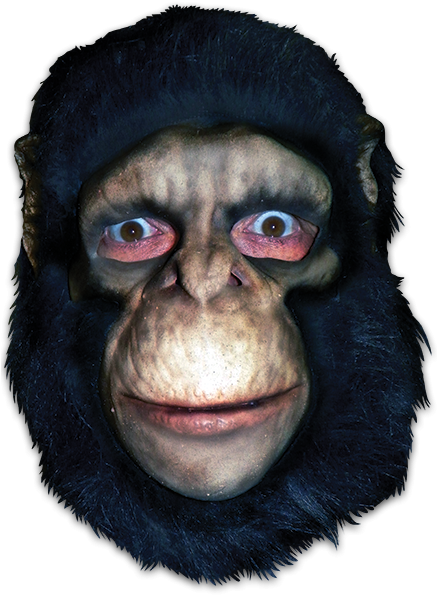 Chimpanzee Full Head - Trick Or Treat Studios Chimpanzee Full Head Mask (436x639), Png Download