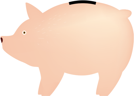 Contact - Domestic Pig (1080x1080), Png Download