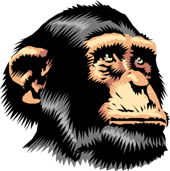 Chimpanzee - Love My Chimpanzee T Shirt (693x700), Png Download