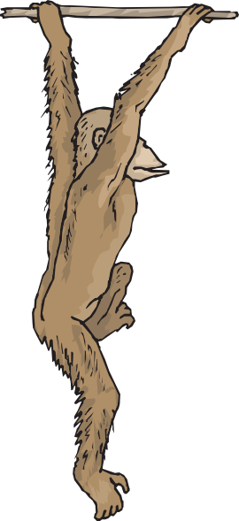 Small - Chimpanzee (270x589), Png Download