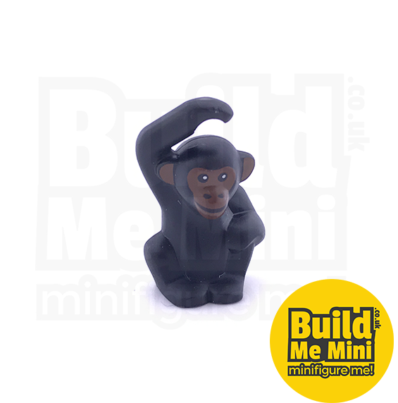 Zoom Images - Common Chimpanzee (600x600), Png Download