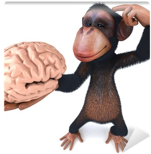Buying A Home 2017: Don't Let Them Make A Monkey Out (400x400), Png Download