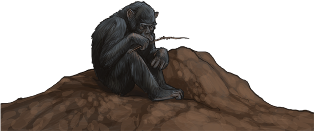 Chimpanzeeday - Portable Network Graphics (640x385), Png Download