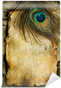Peacock Feather Png - Paper (400x400), Png Download