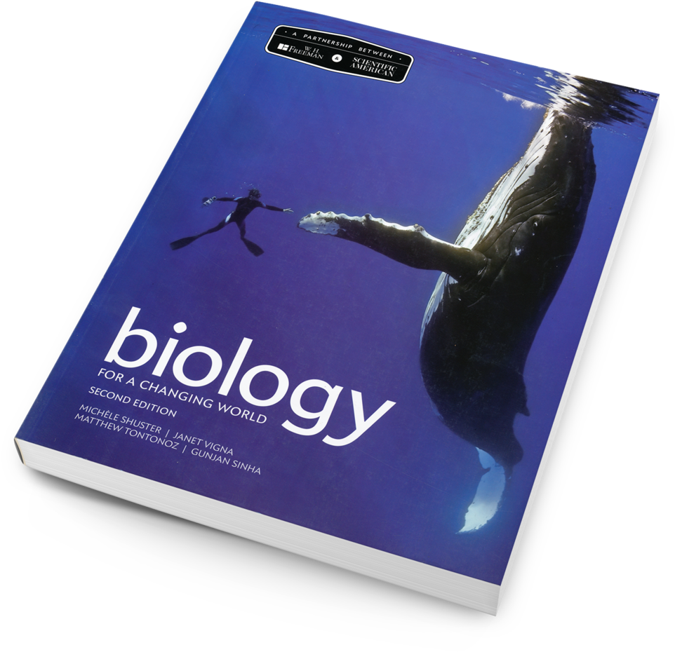 College Biology With Magazine Styling (1000x1000), Png Download