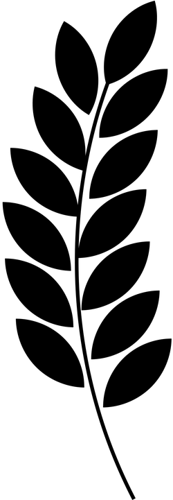 pic Ramo Trigo Vetor trigo vetor png png image with no