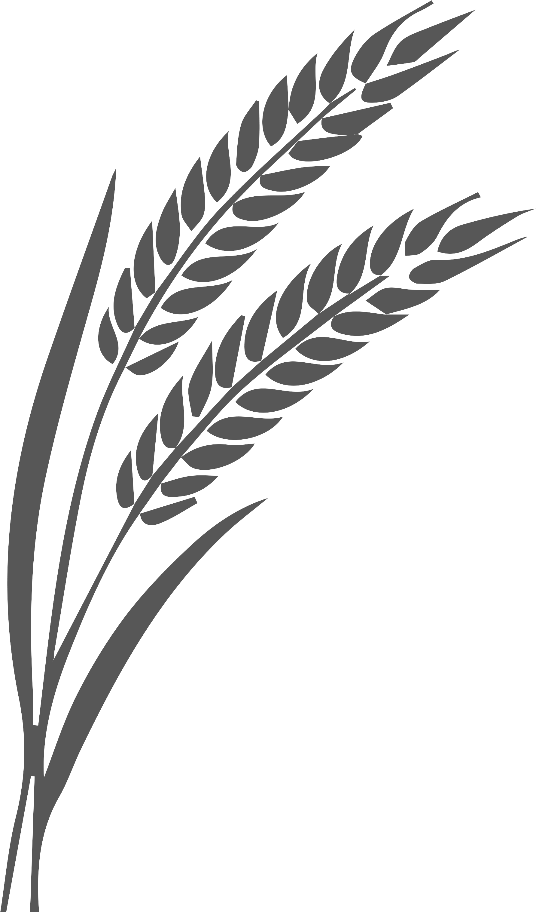 Linea De Trigo - Preto Branco Trigo Png (2155x3300), Png Download