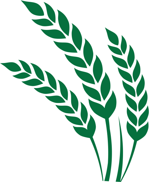 Trigo (492x601), Png Download