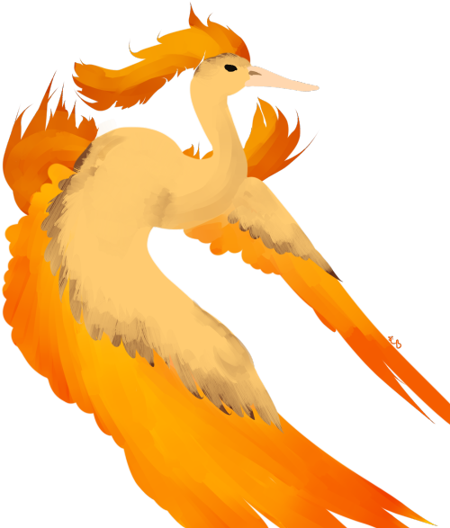 Transparent Moltres Doodle Cause I Was Bored And Didnt - Illustration (500x607), Png Download