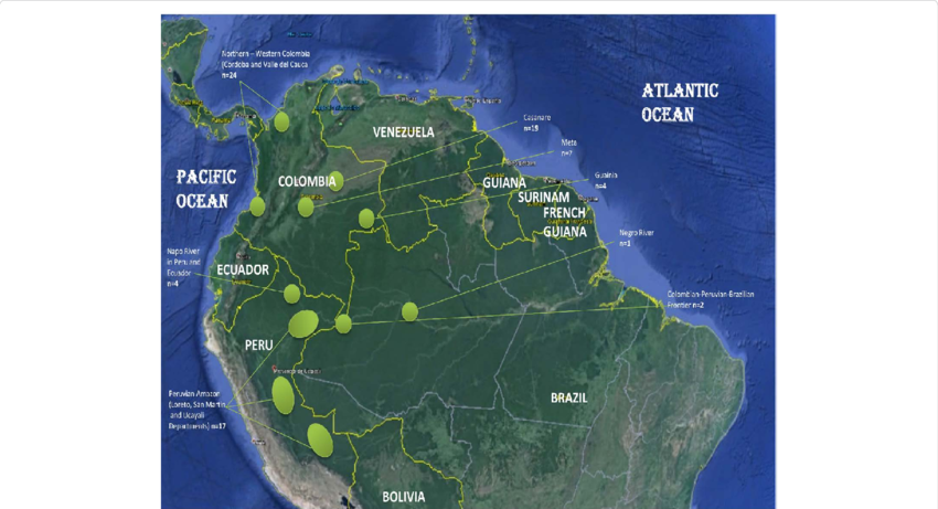 Map Of South America With The Areas And Number Of Samples - Mtdna Control Region (850x461), Png Download