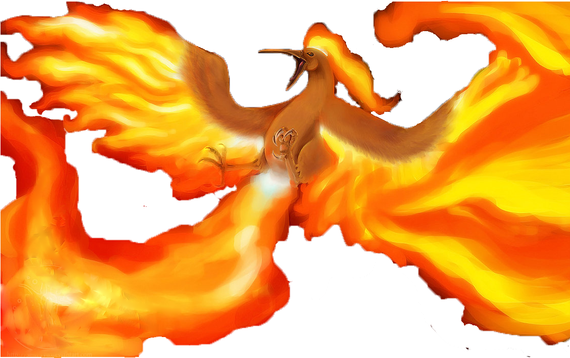 Hows This - Illustration (1128x708), Png Download