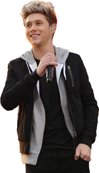 Niallhoran - Niall Horan Transparent 2017 (500x684), Png Download