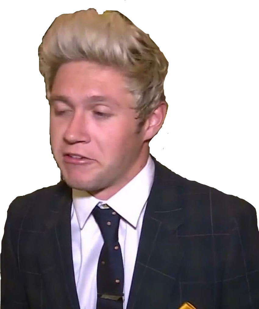Niall Horan Niallhoran Niall Horan Nialler Flicker - Niall Horan (850x1014), Png Download