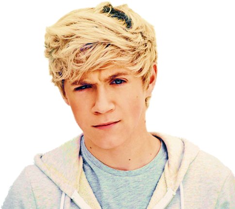 Niall Horan Png 2014 Niall Horan Png By Joyce96-d4v42cy - Light Blonde Hair Men (488x442), Png Download