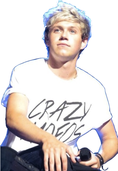 Source - - Niall Horan (400x600), Png Download