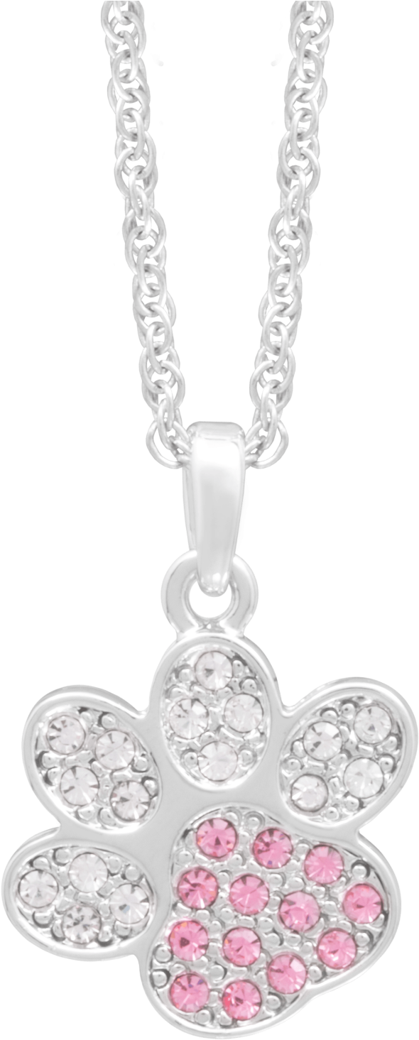 Dog Paw - Dog (1600x1600), Png Download