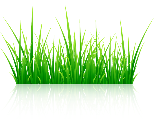 Más De - Vector Graphics (546x485), Png Download