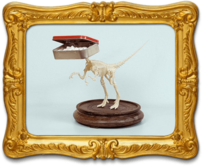 After I Did A Blog Post Last Week On A Unicycle I'd - Picture Frame (432x351), Png Download