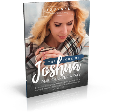 Joshua Girls Spine - Book Of Joshua Journal [book] (500x500), Png Download