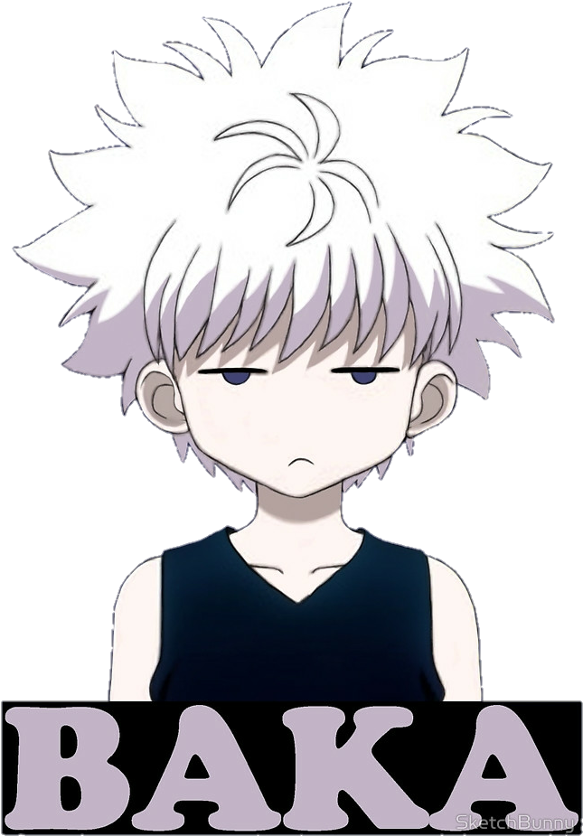 Report Abuse - Hunter X Hunter Killua Baka (666x1000), Png Download