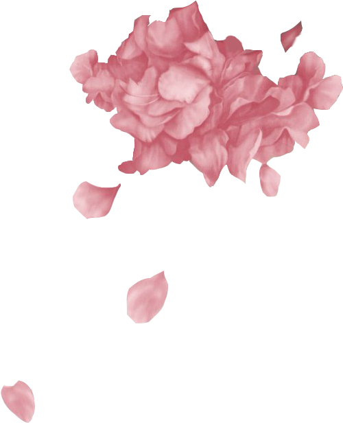 #troyesivan #wild #flowers - Fools Troye Sivan Png (621x740), Png Download