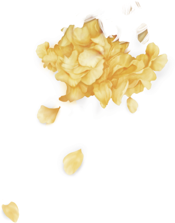 #troye Sivan #wild #лепестки - Troye Sivan Petals Png (700x700), Png Download