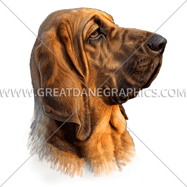 Hound Dog - Hound Dog Unique Strength; Excellent Scent Recognition (385x385), Png Download