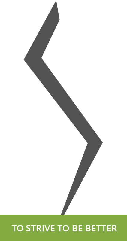 Why Choose Zig Zag (423x802), Png Download