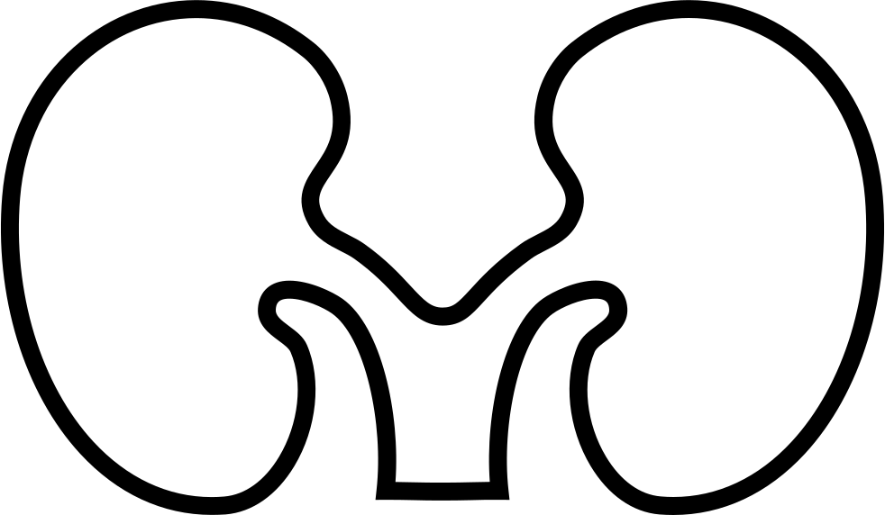 Font Kidney Comments - Kidney Png Icon White (982x572), Png Download