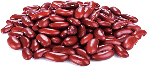 Kidney Beans Png - Red Kidney Bean Png (500x500), Png Download